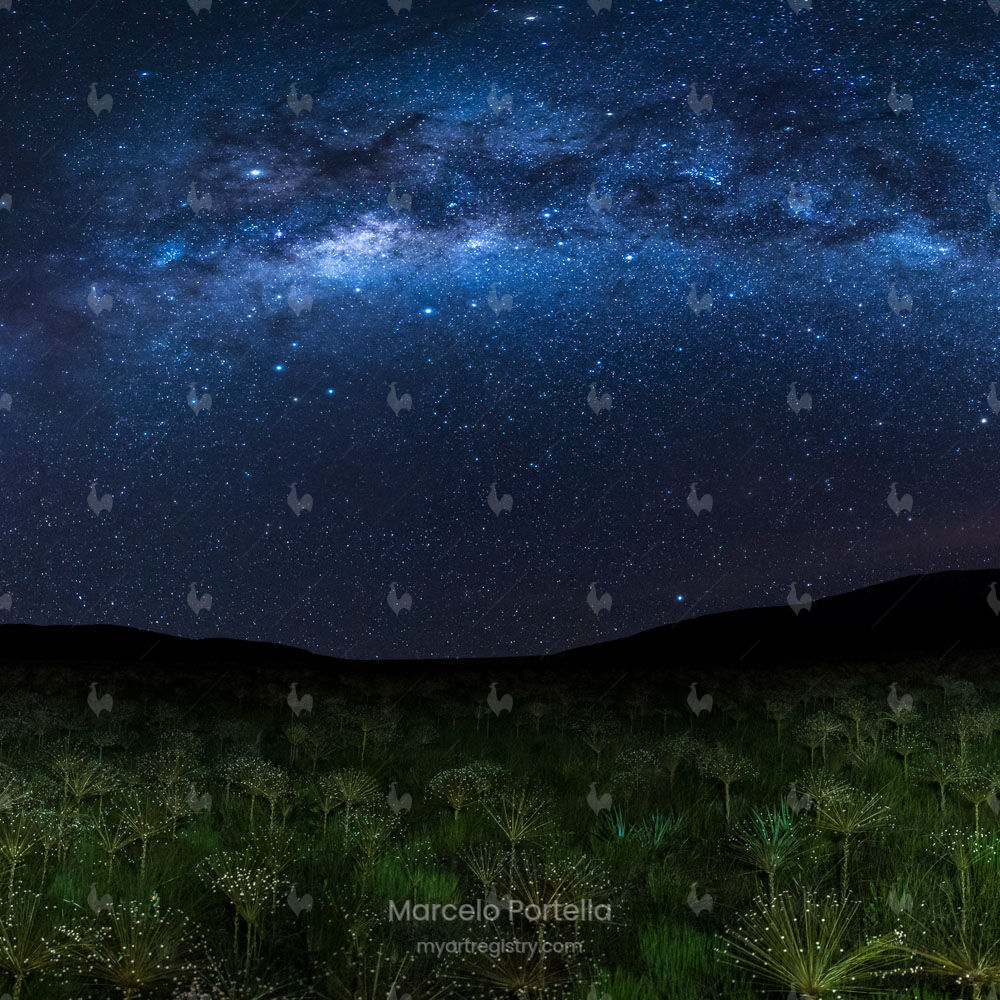 My Dreamscapes I