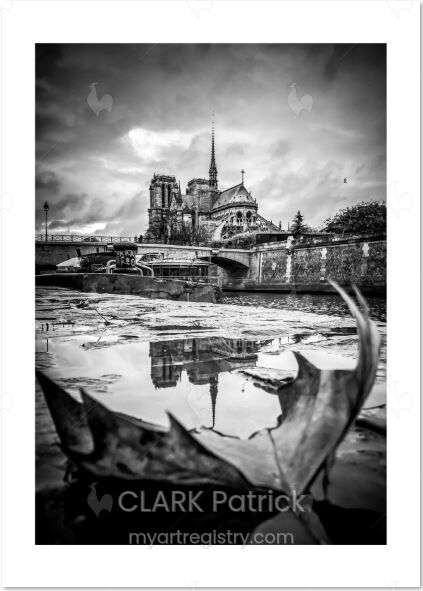 Automne sur Notre Dame
