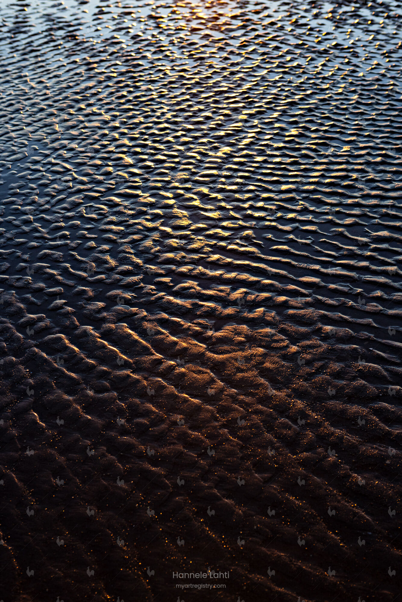 Low Tide, 2022