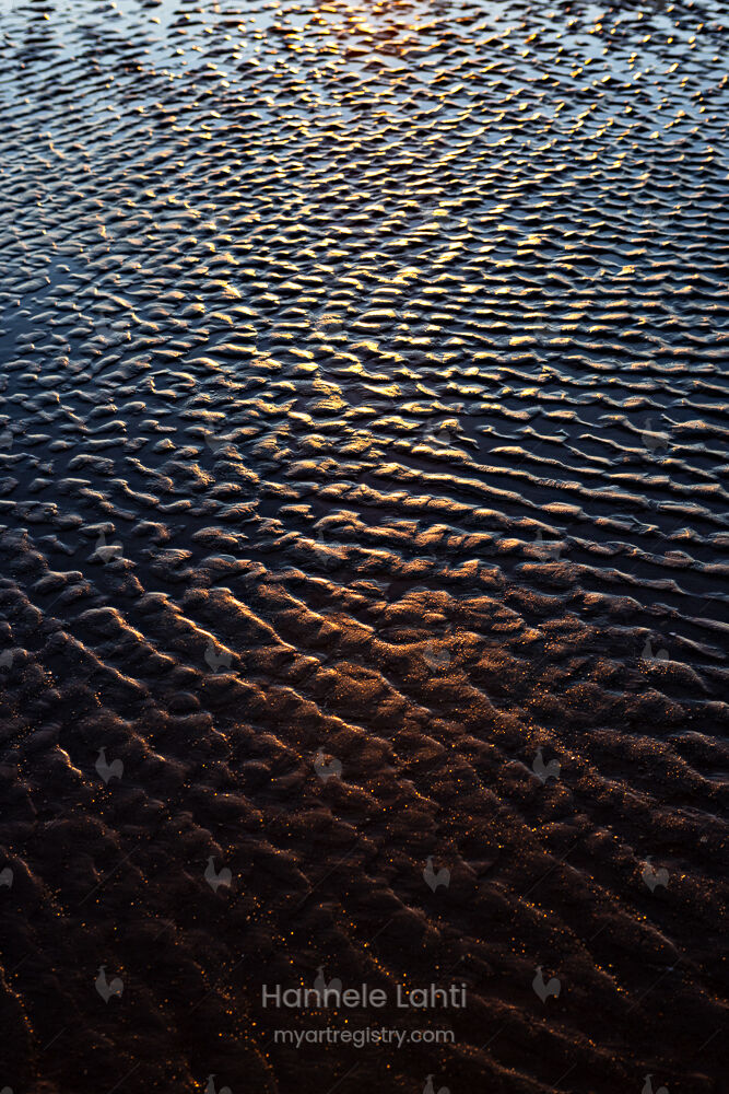 Low Tide, 2022