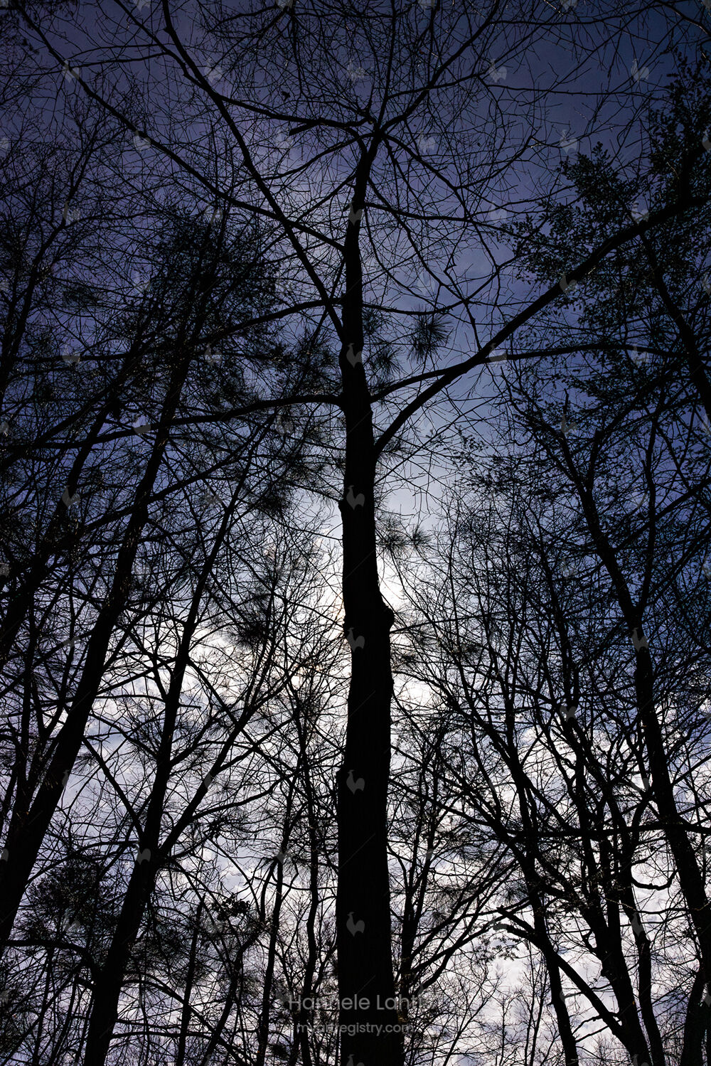 Eclipse