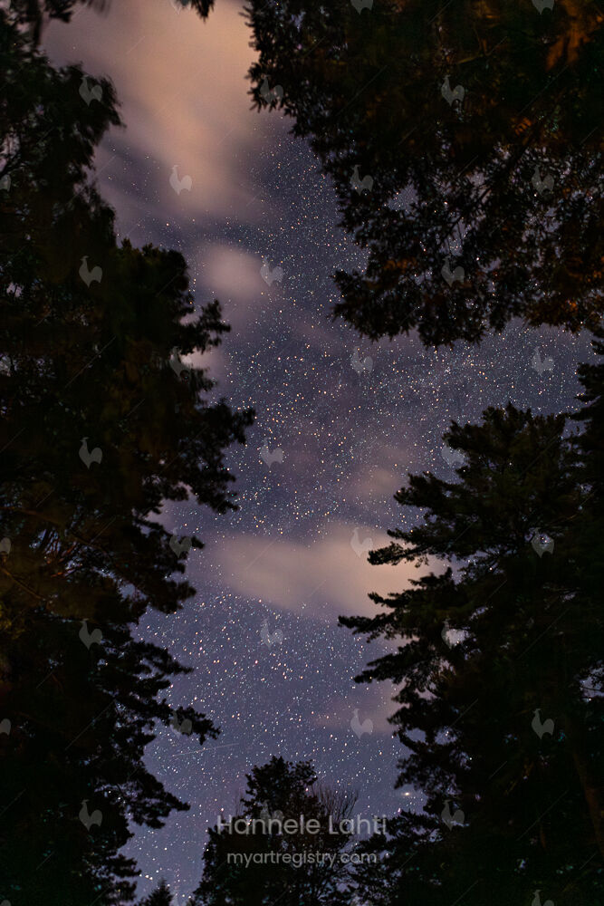 Starry Night #1