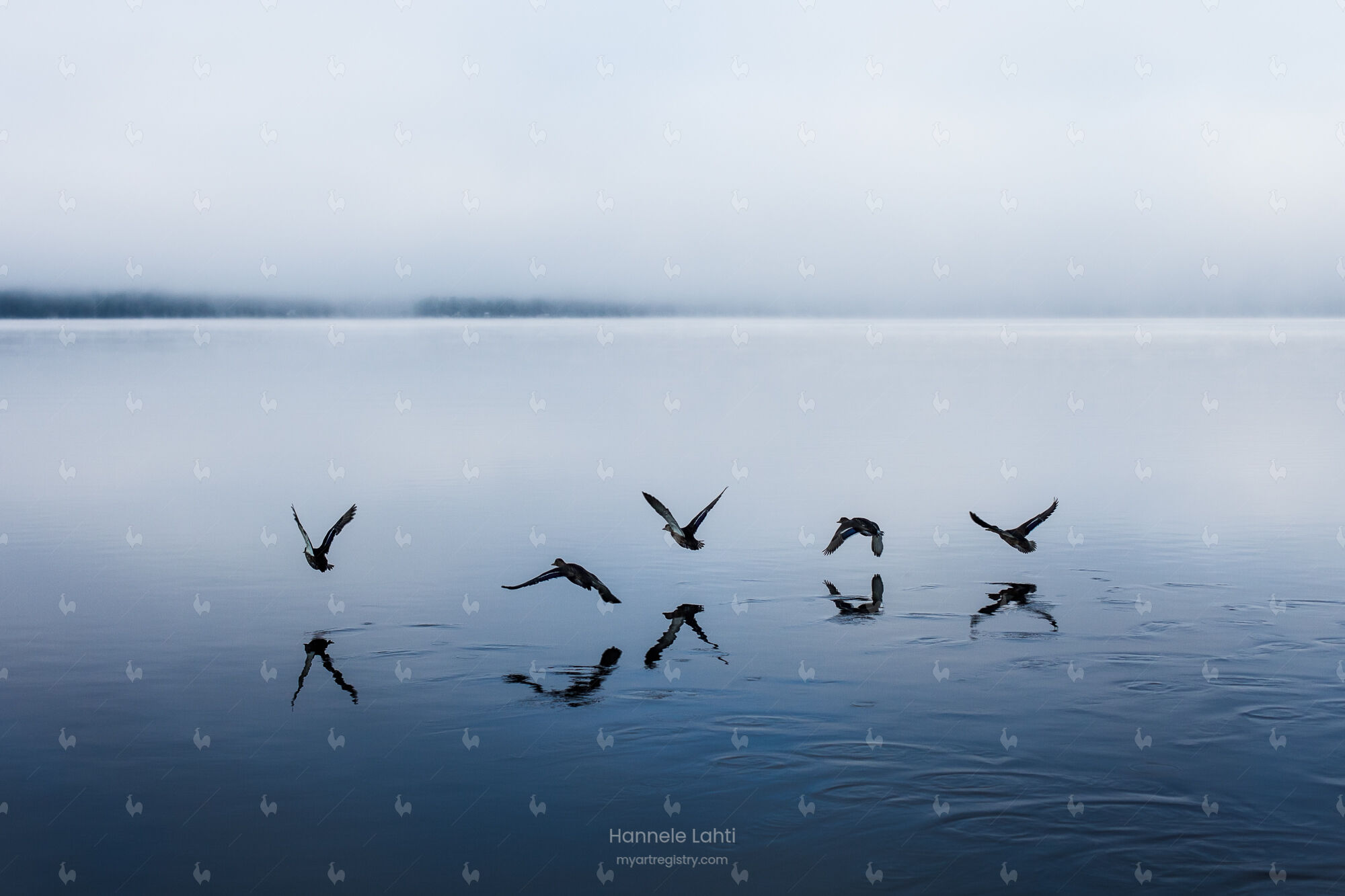 Wesserunsett Lake, Maine