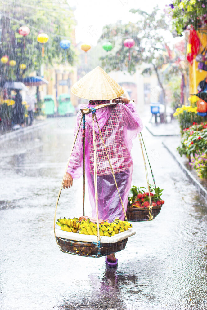 Frutas na chuva