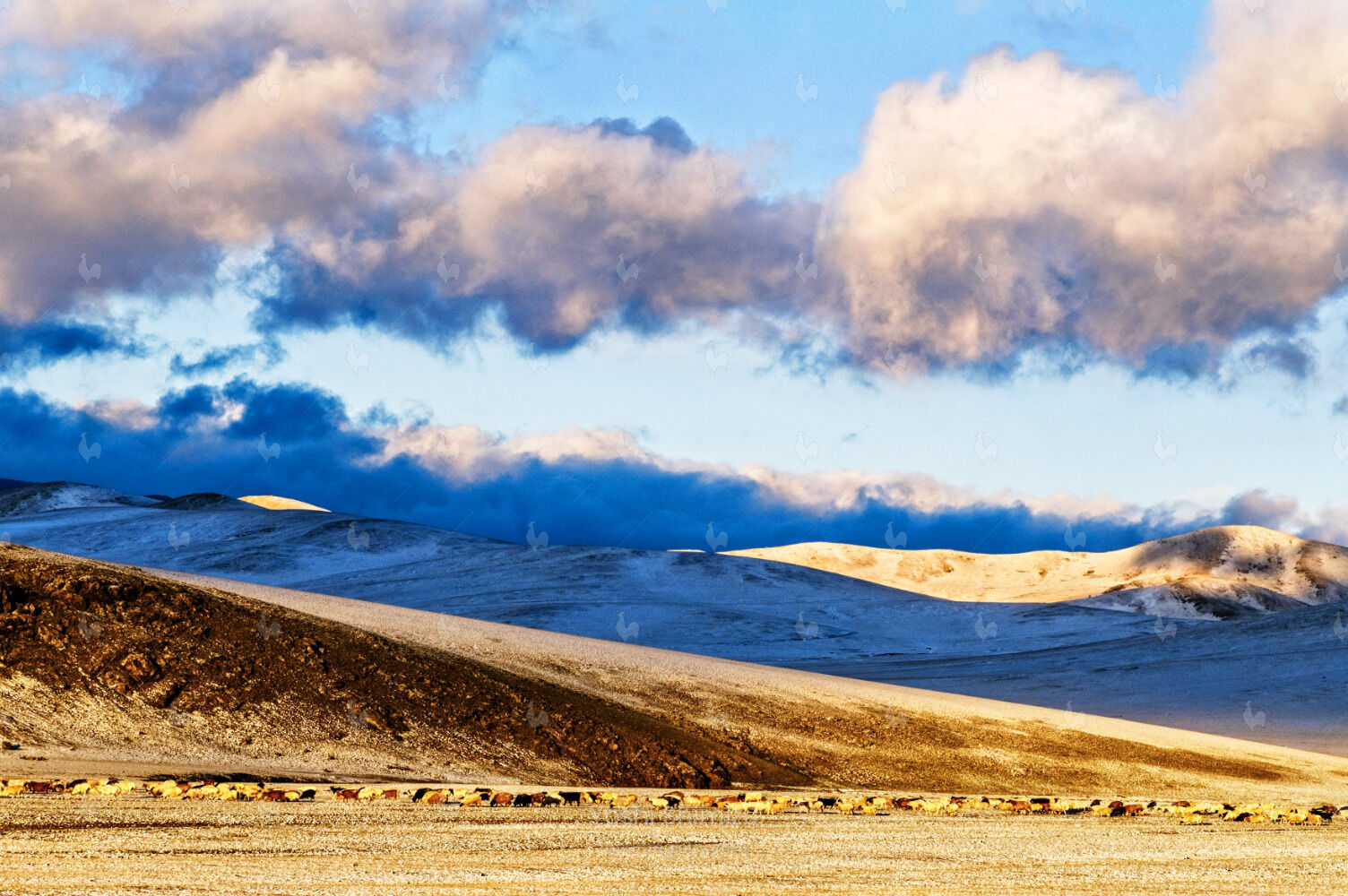 Mongolian Landscape No 7 - Mongolia 2017