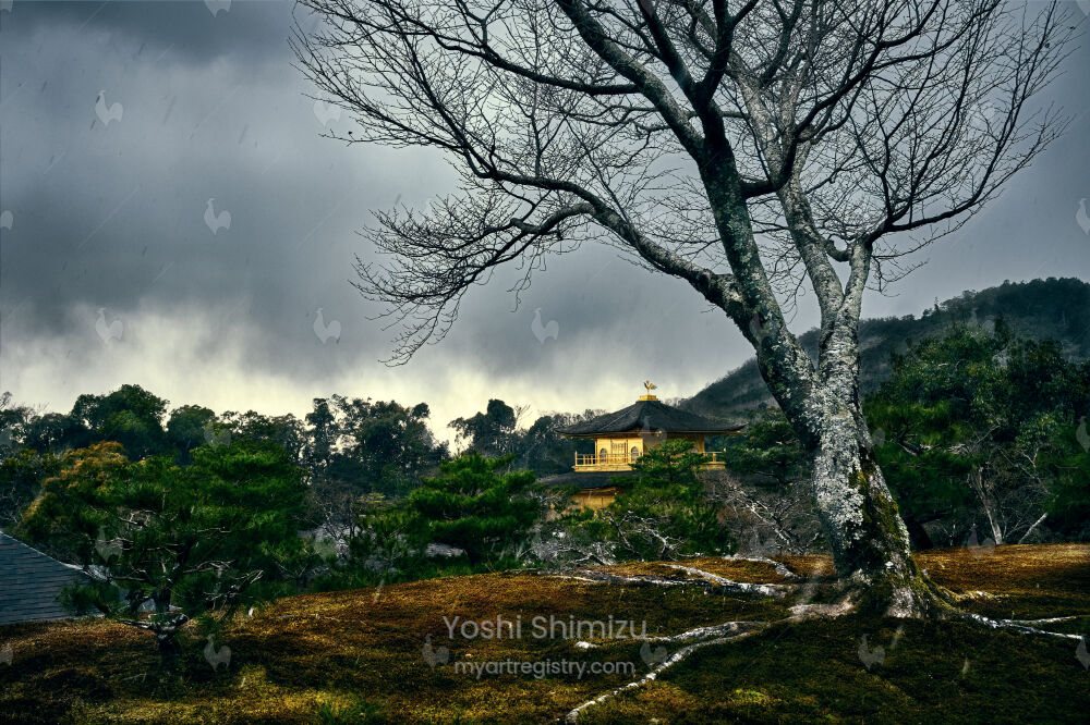 The Golden Pavilion in winter
