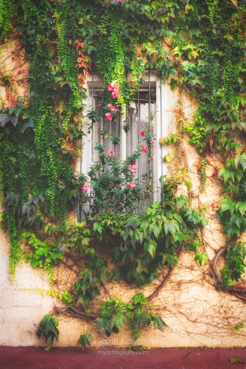 Ivy Window in Cannes