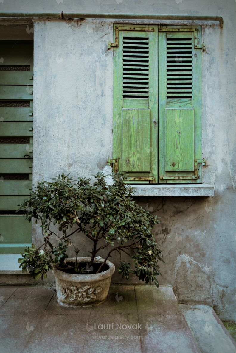 Green Shutters Cannes