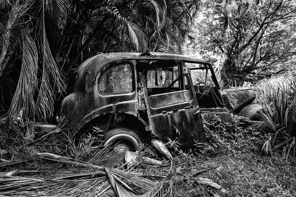 Abandoned Vehicles - Oldtimer II