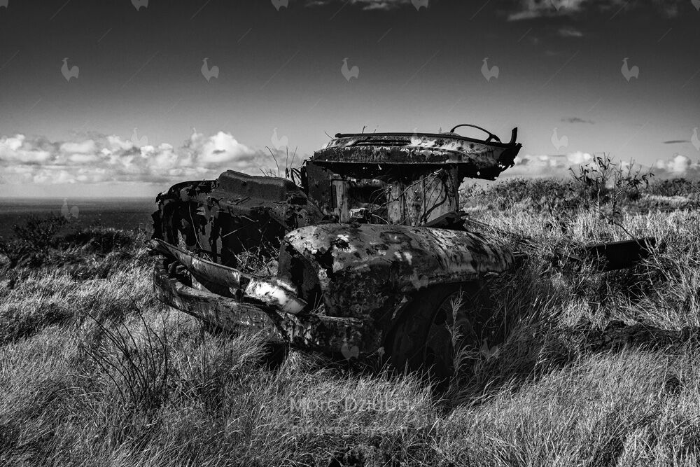 Abandoned Vehicles - Old Truck