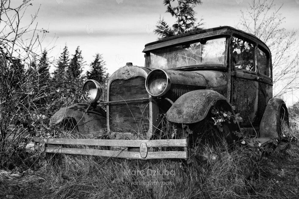 Abandoned Vehicles - Oldtimer I