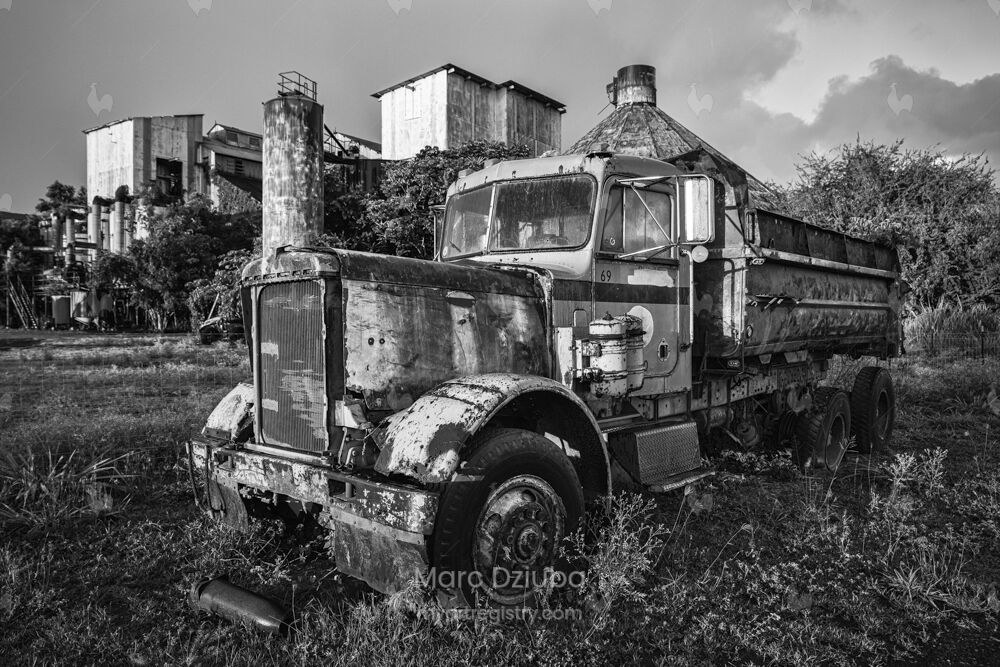 Abandoned Vehicles - Dump Truck I