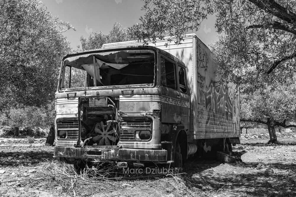 Abandoned Vehicles - Delivery Truck