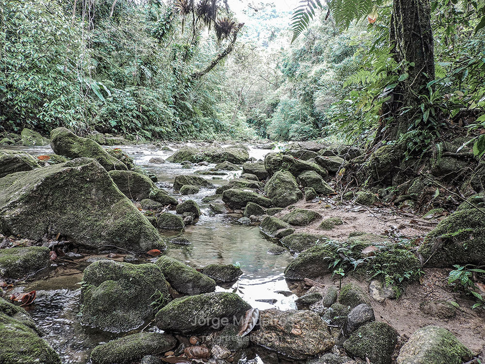 O silêncio é um descanso