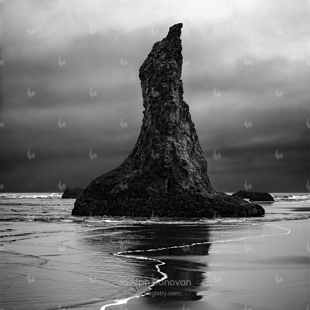 SENTINEL