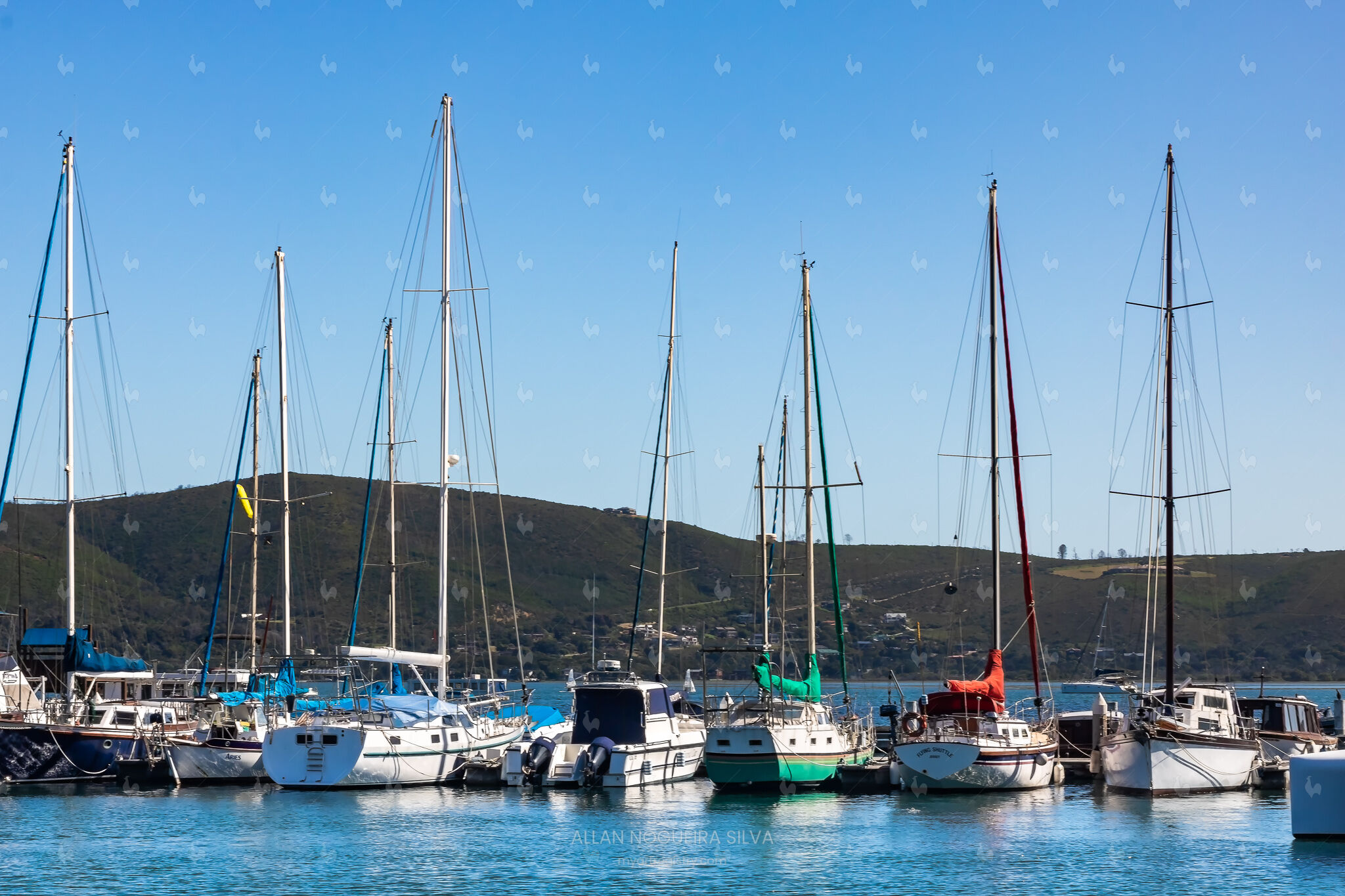 Marina