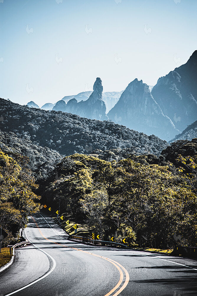 Road to Heaven, 2021