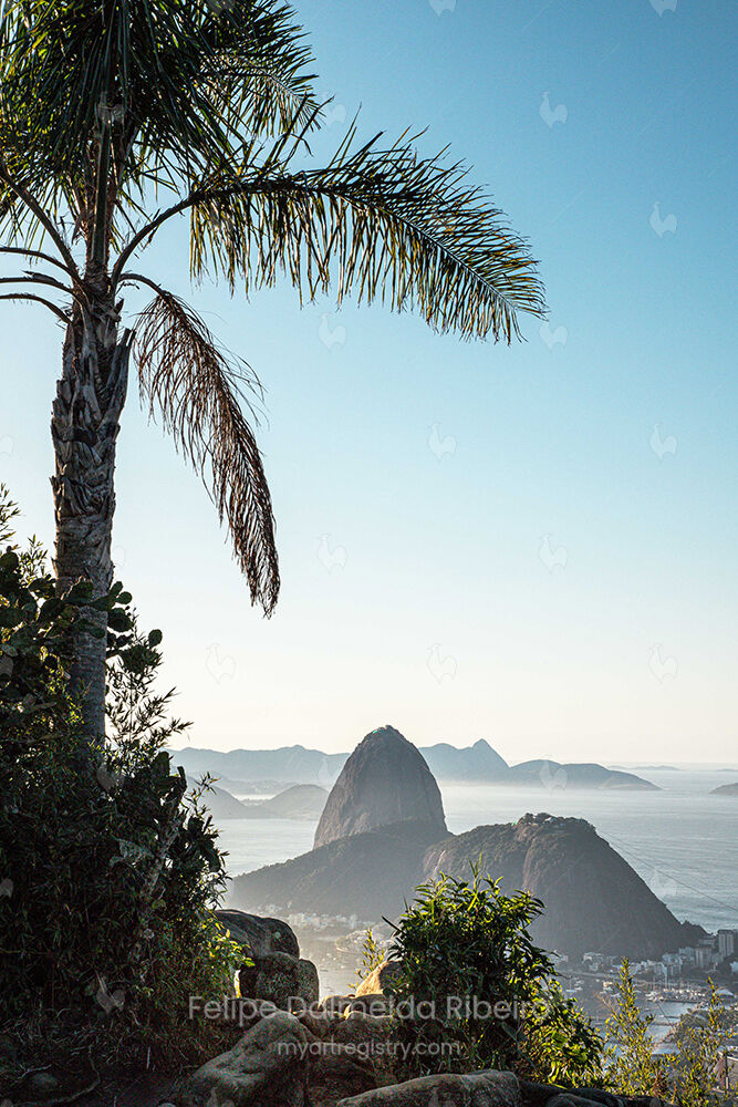 Rio Tropical