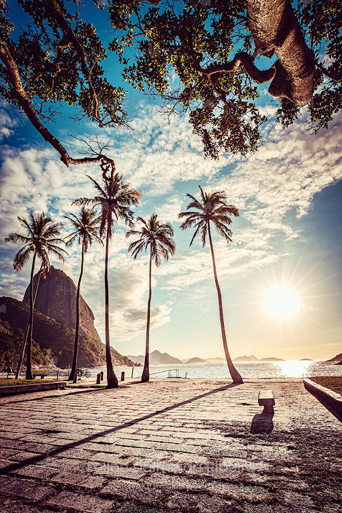 Luz do dia