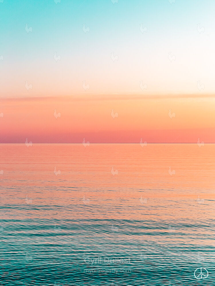 Horizon #1