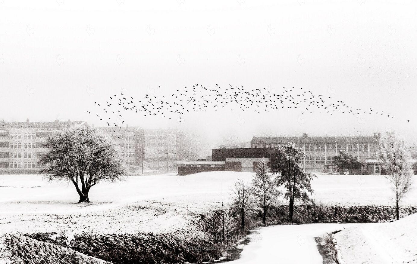 Winter Haze