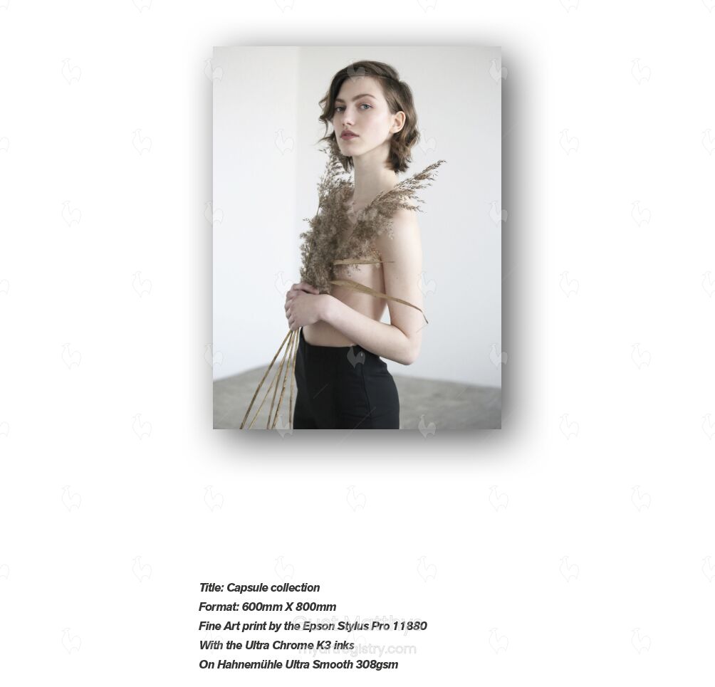Capsule Collection