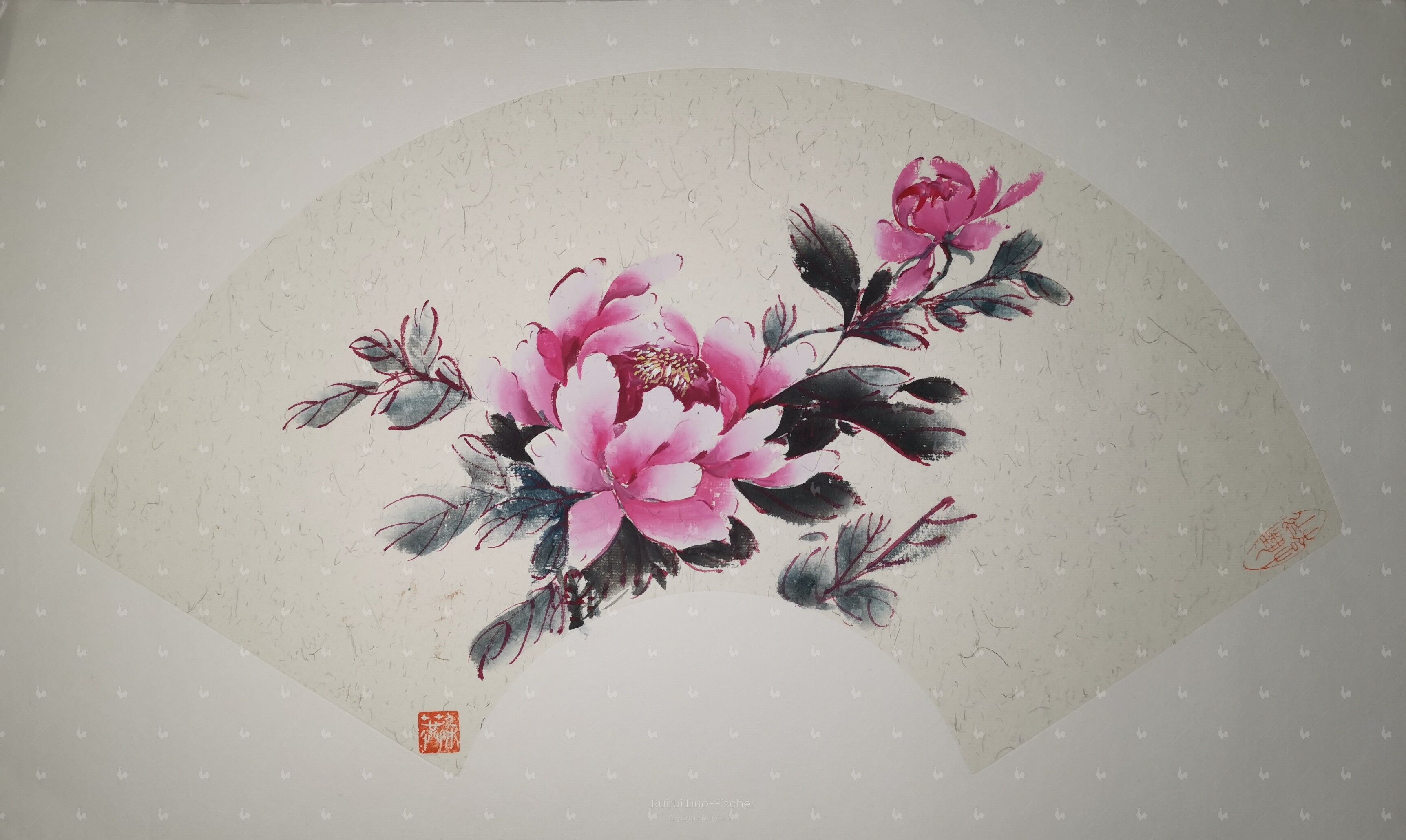 Pink peony 9