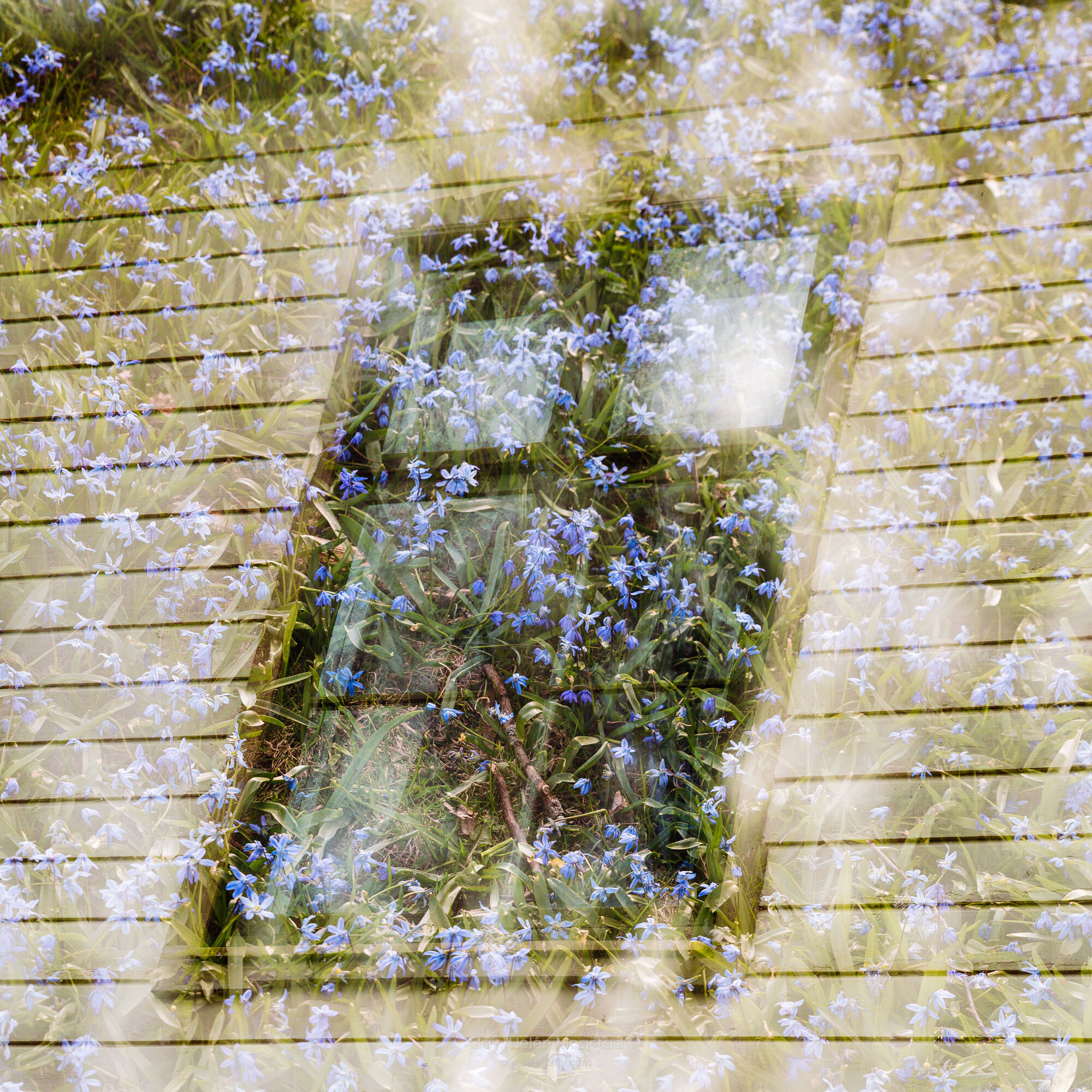 Remnant of Future Dreams