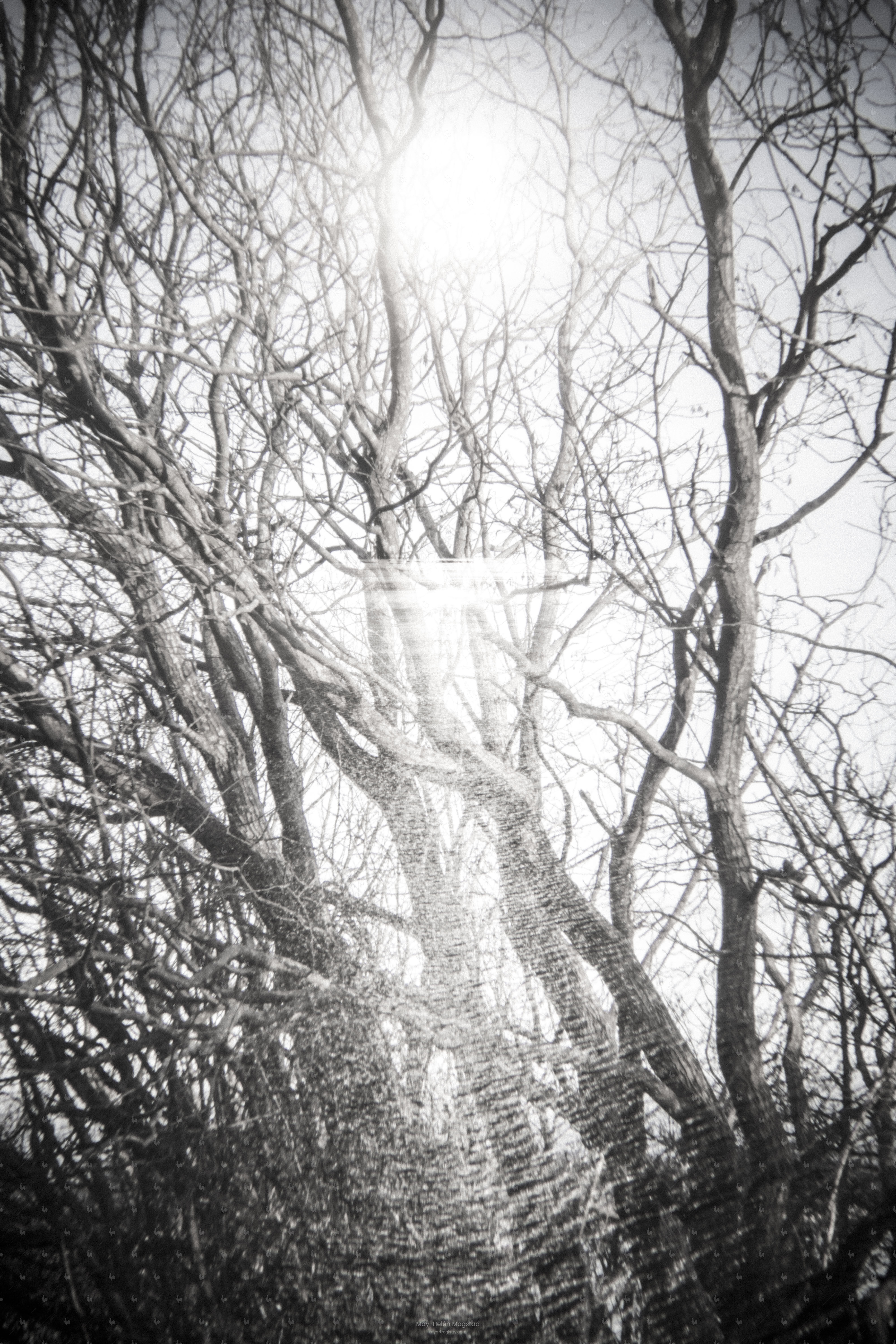 Connections