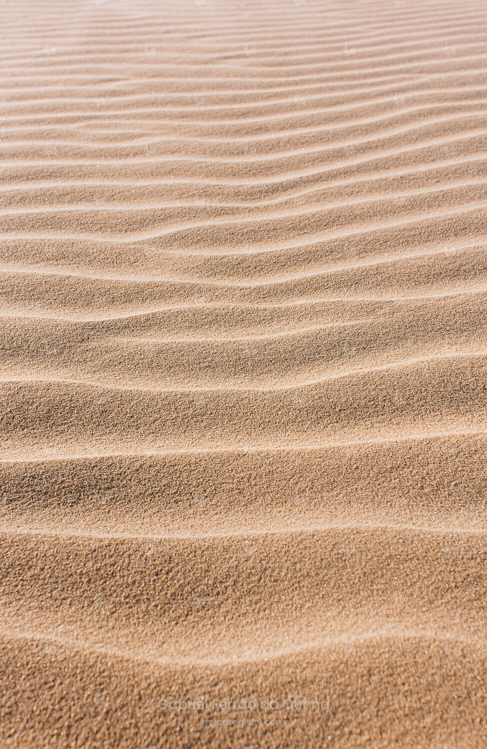 Dunas 01
