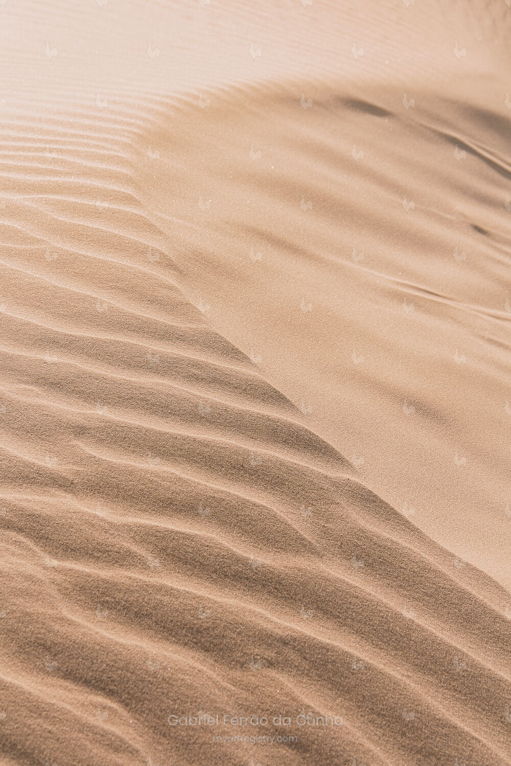 Dunas 02
