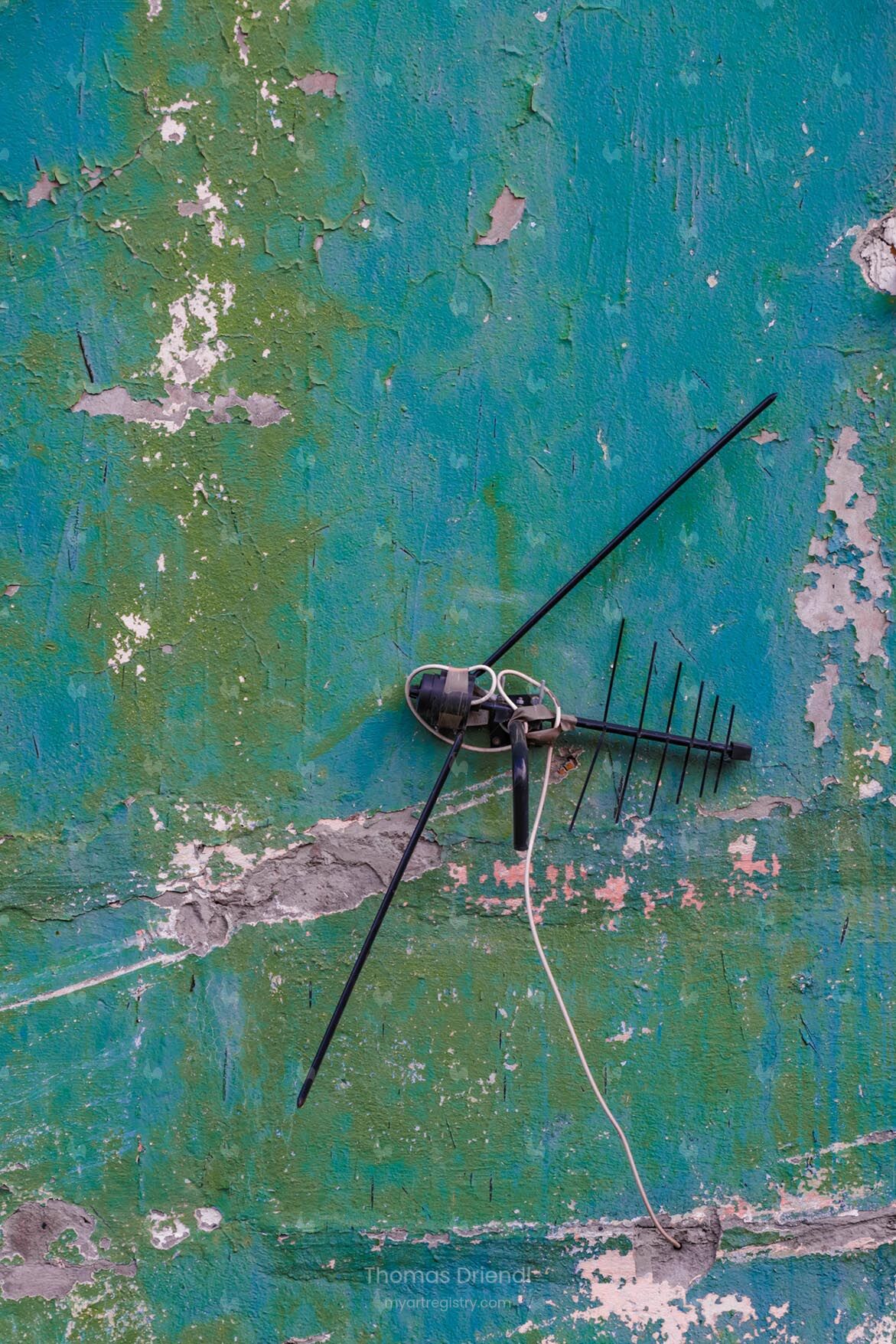 Insektifikation