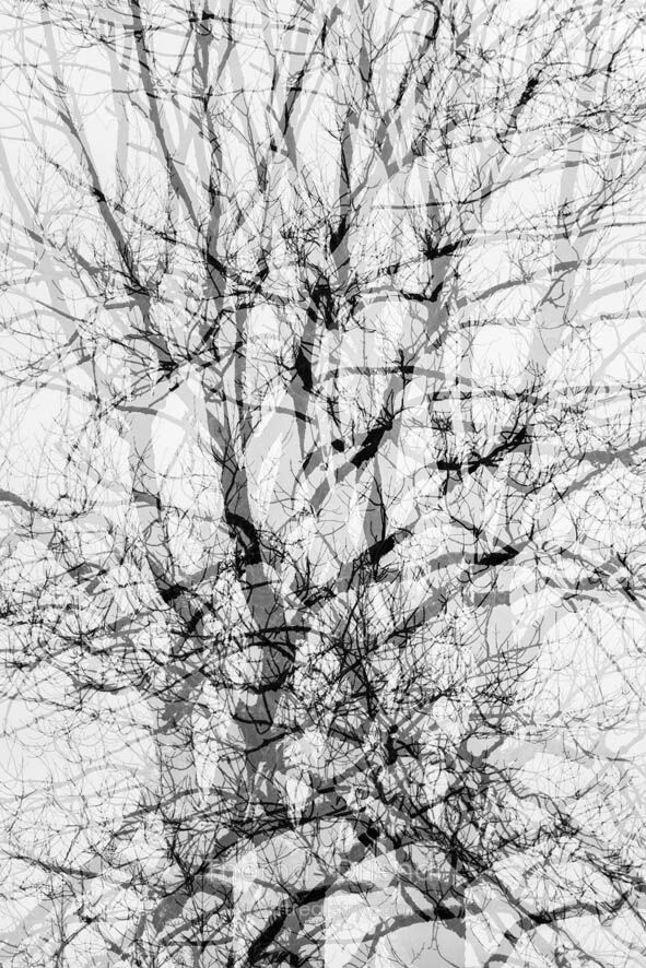 Chaos in mind