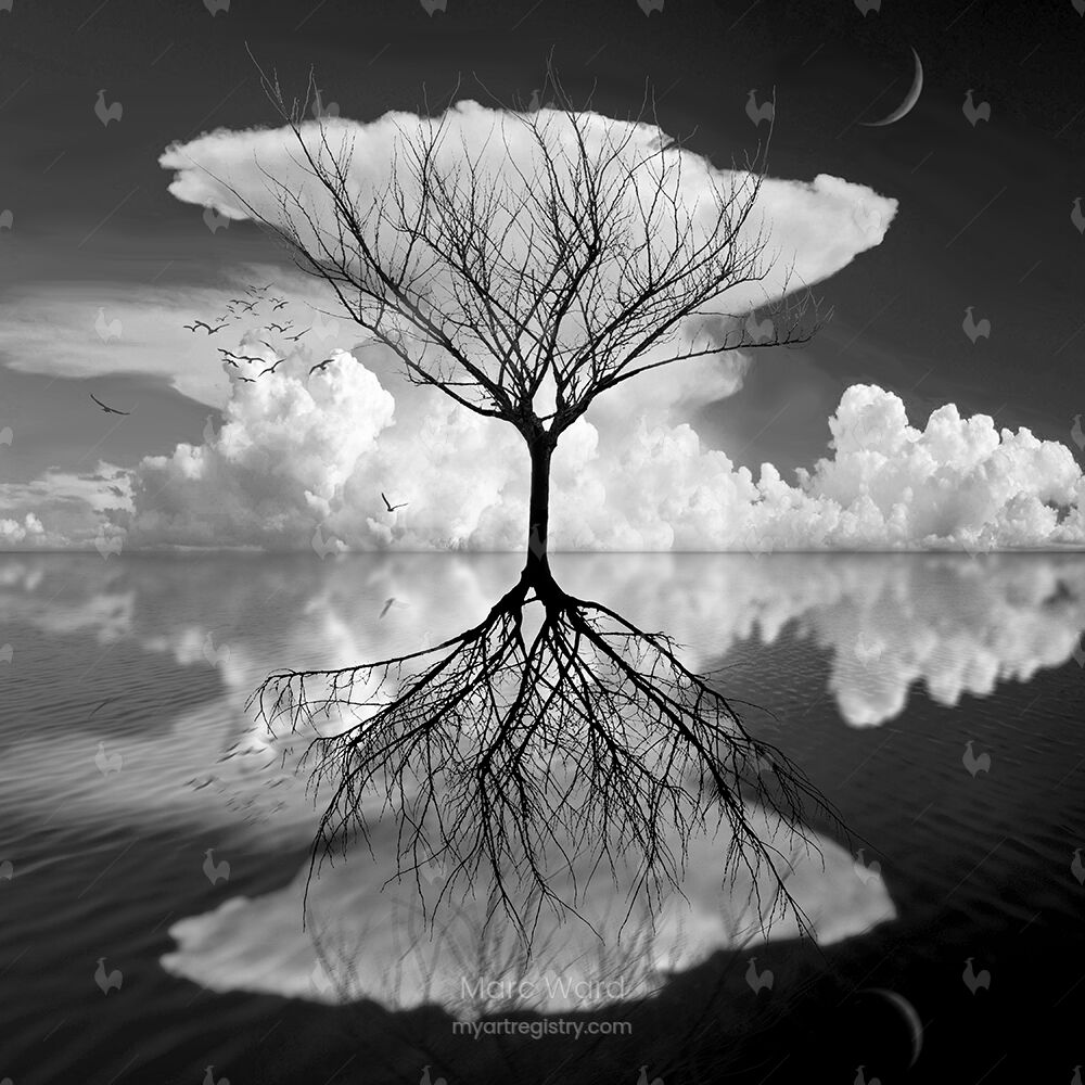 Lightly Touching Water