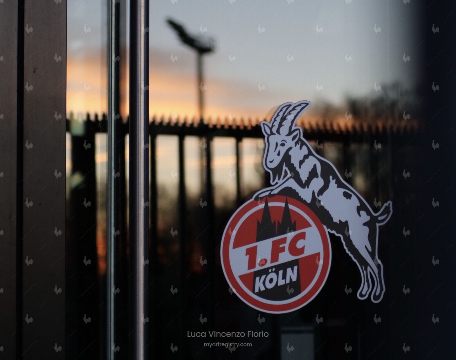 1. FC Köln Logo 10x15