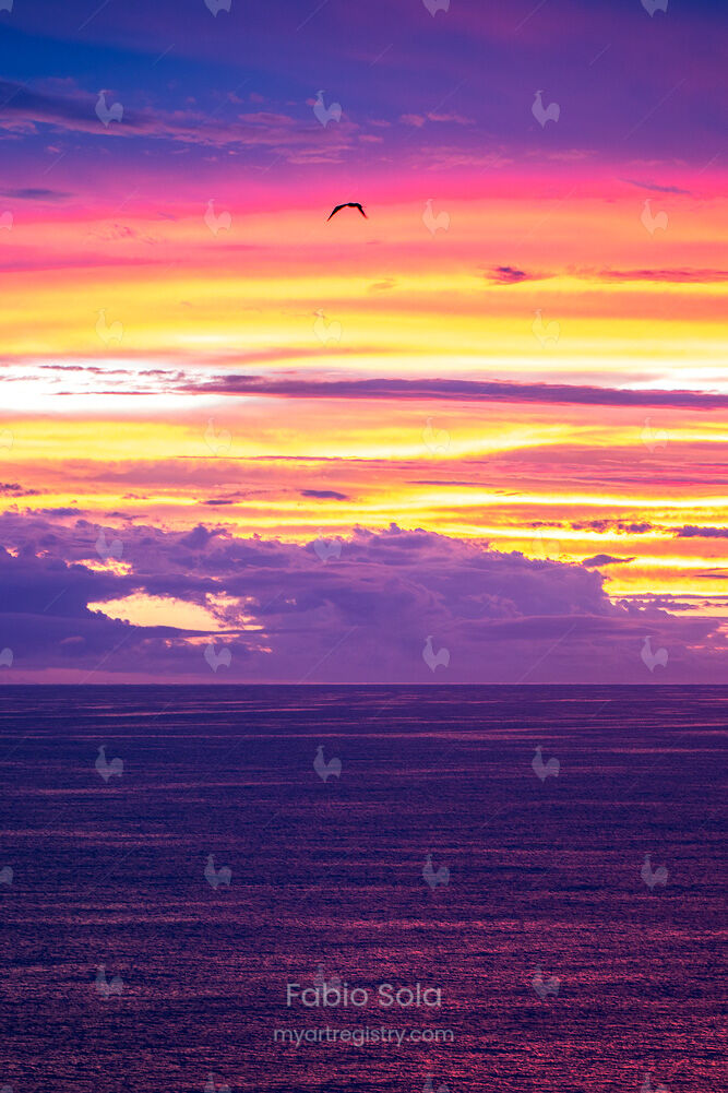 Voo no pôr do sol
