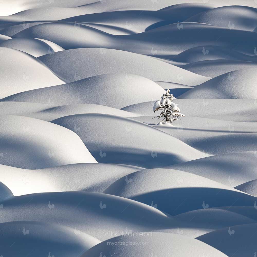 Isolation (Dressed in White)