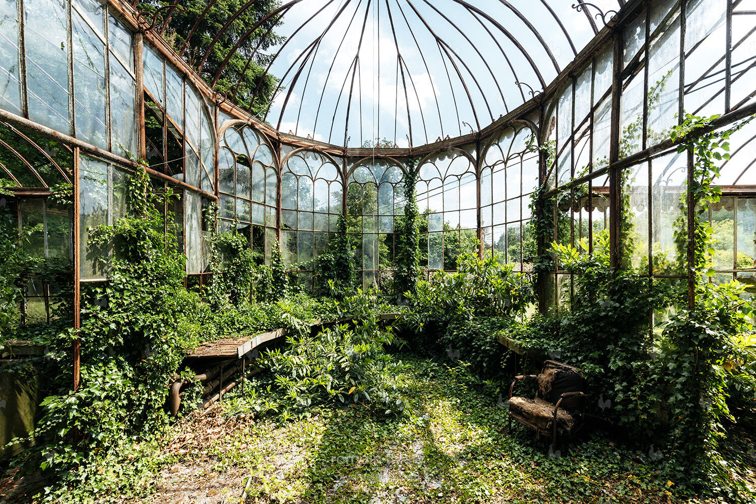 Naturalia