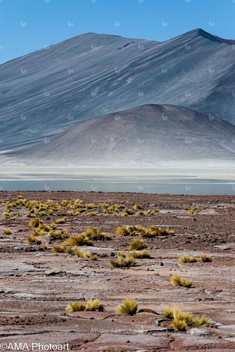 Harmonia no Deserto