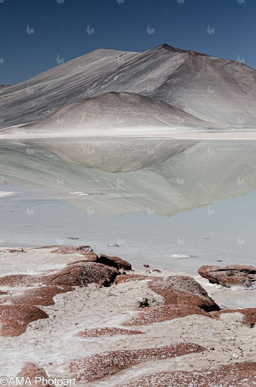 REFLEXOS DA NATUREZA