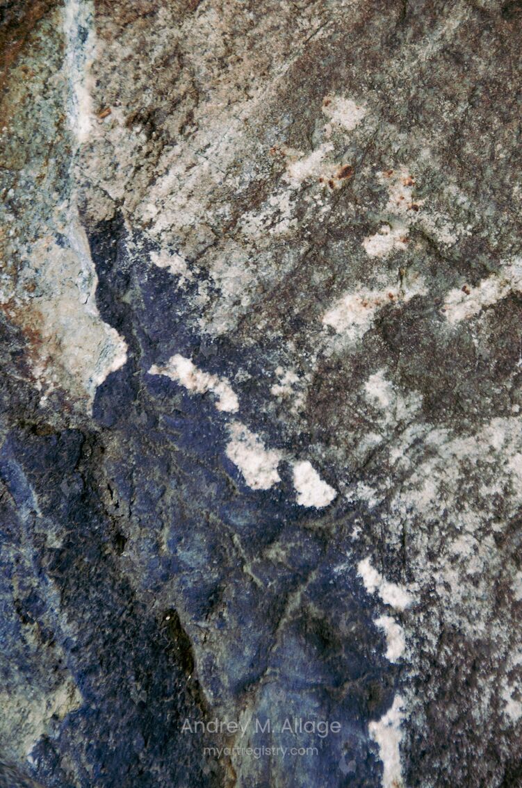 METAMORFOSE