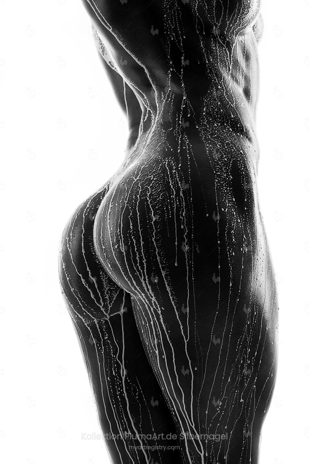 nackte Frau 1720574