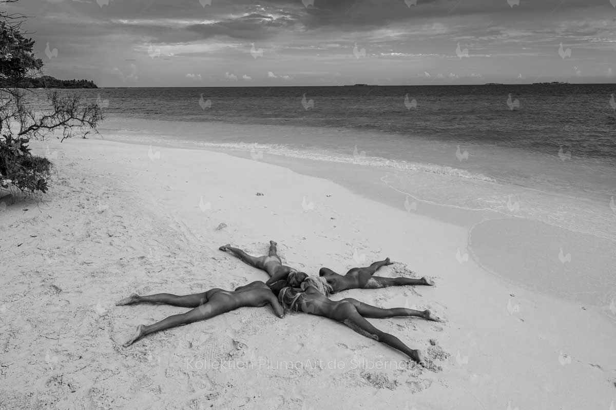 Seestern am Strand (Malediven-Serie) A700