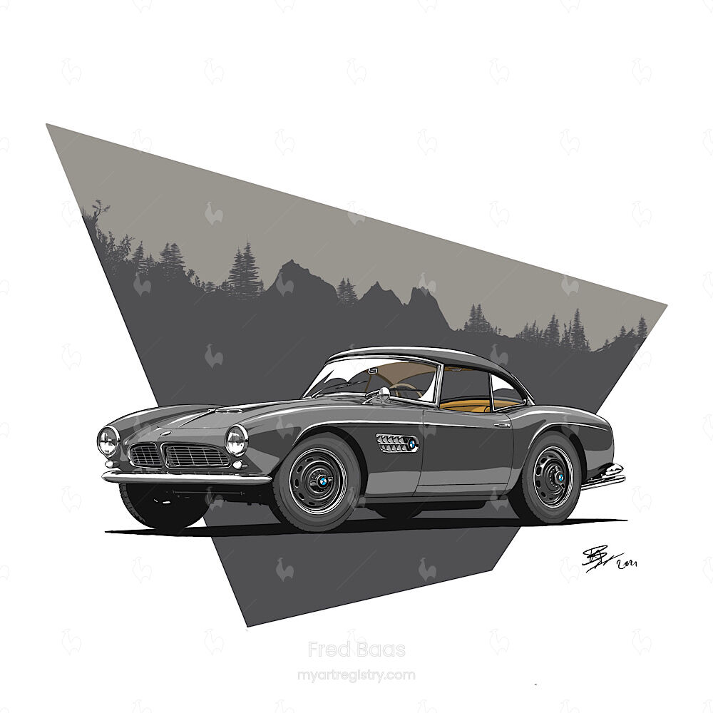 BMW 507