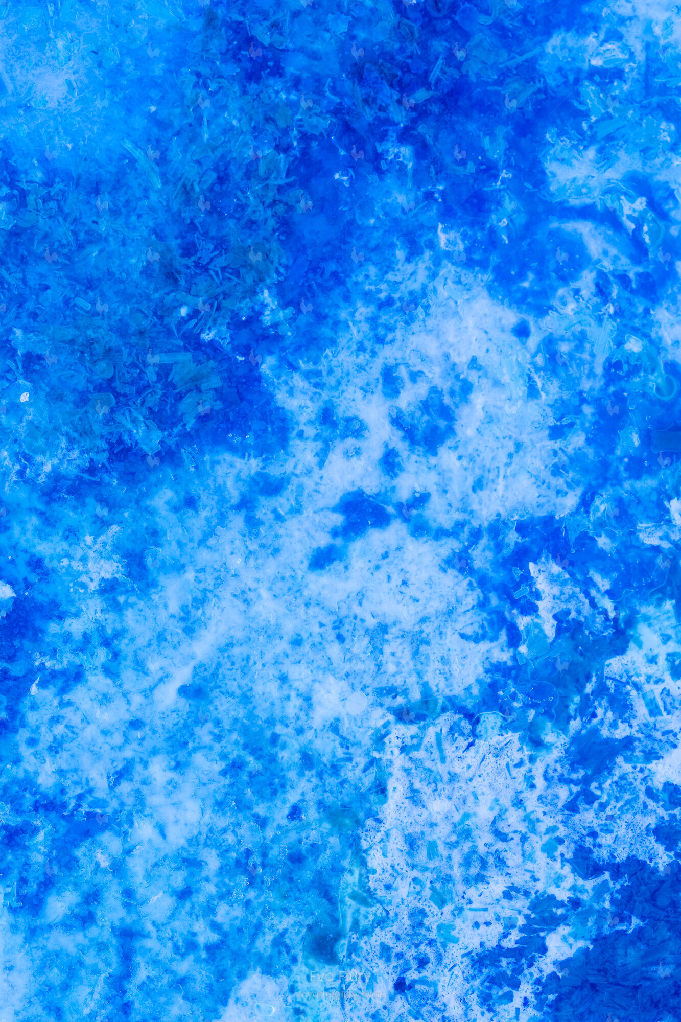 BLUE PHASE II, 2019