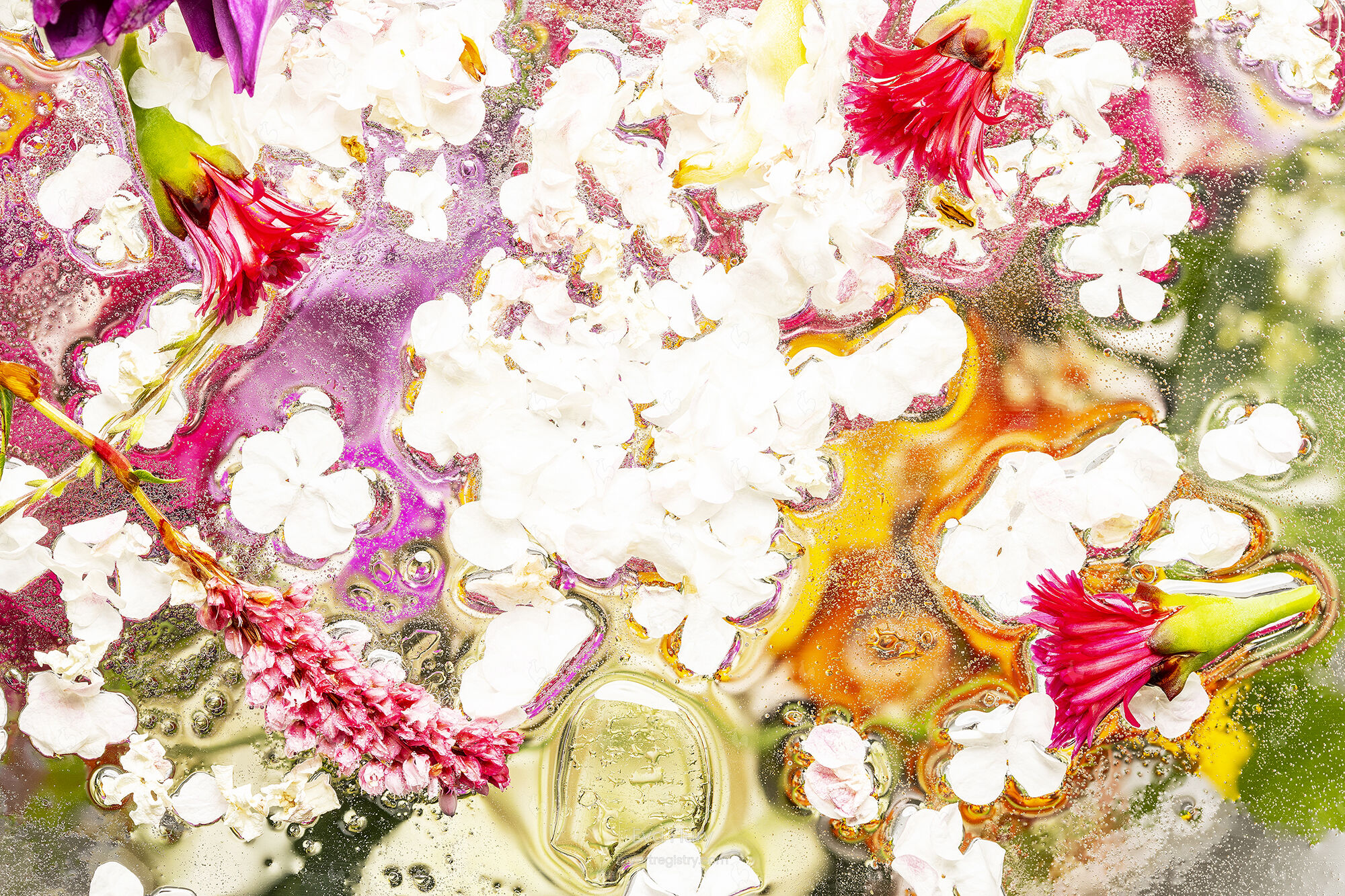 FLOWER POWER, 2021