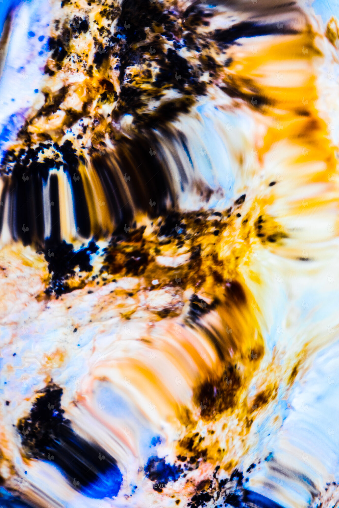 BEEHIVE I, 2019
