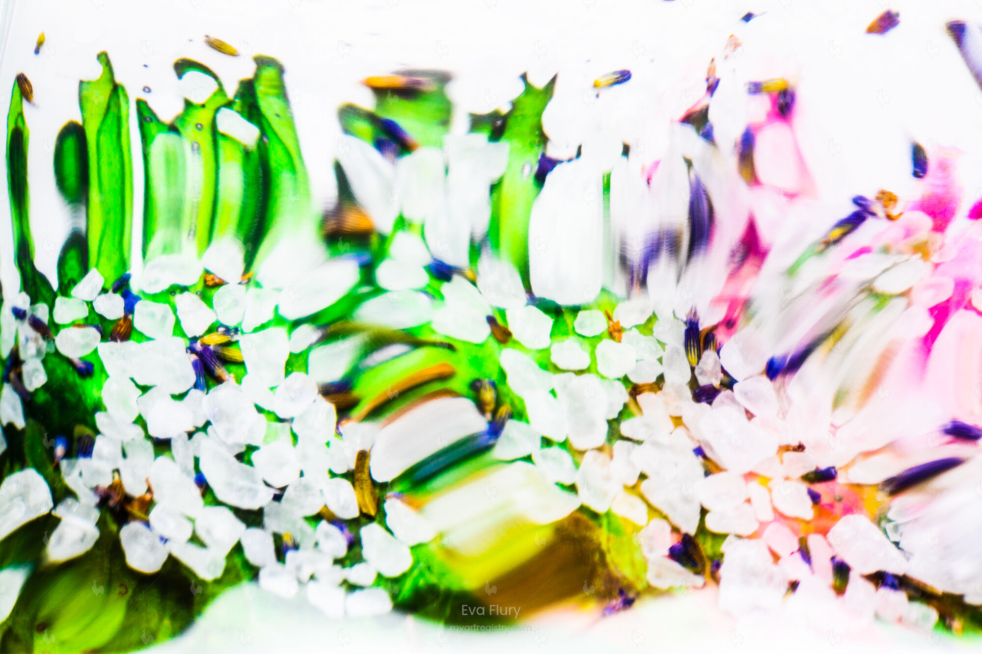 FLOWERS, 2019