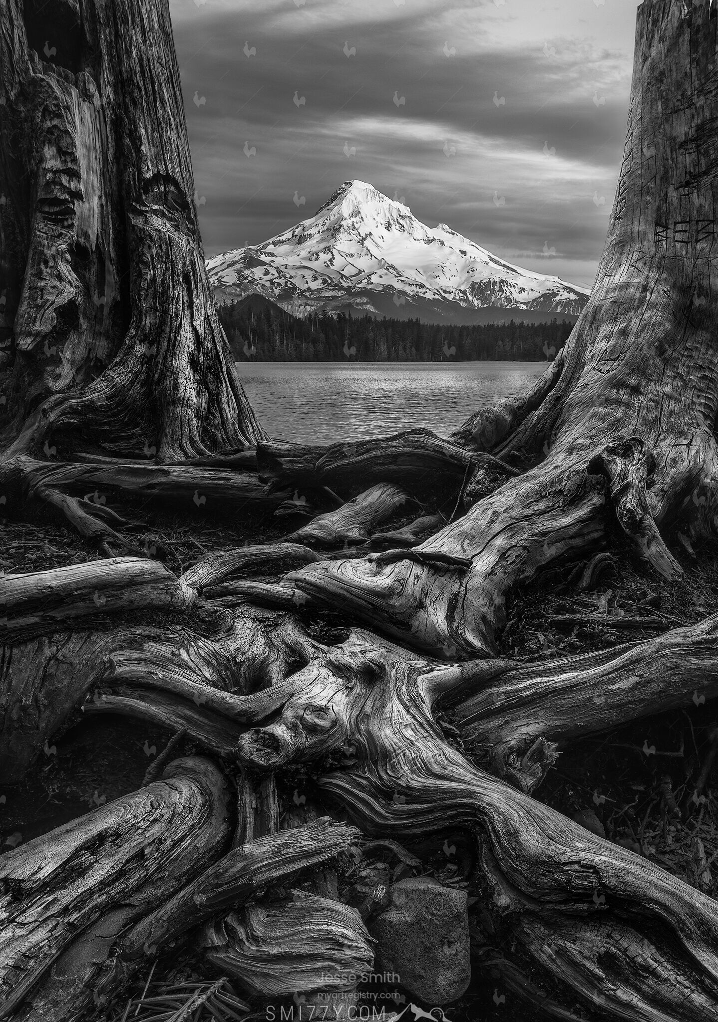 This is Oregon
