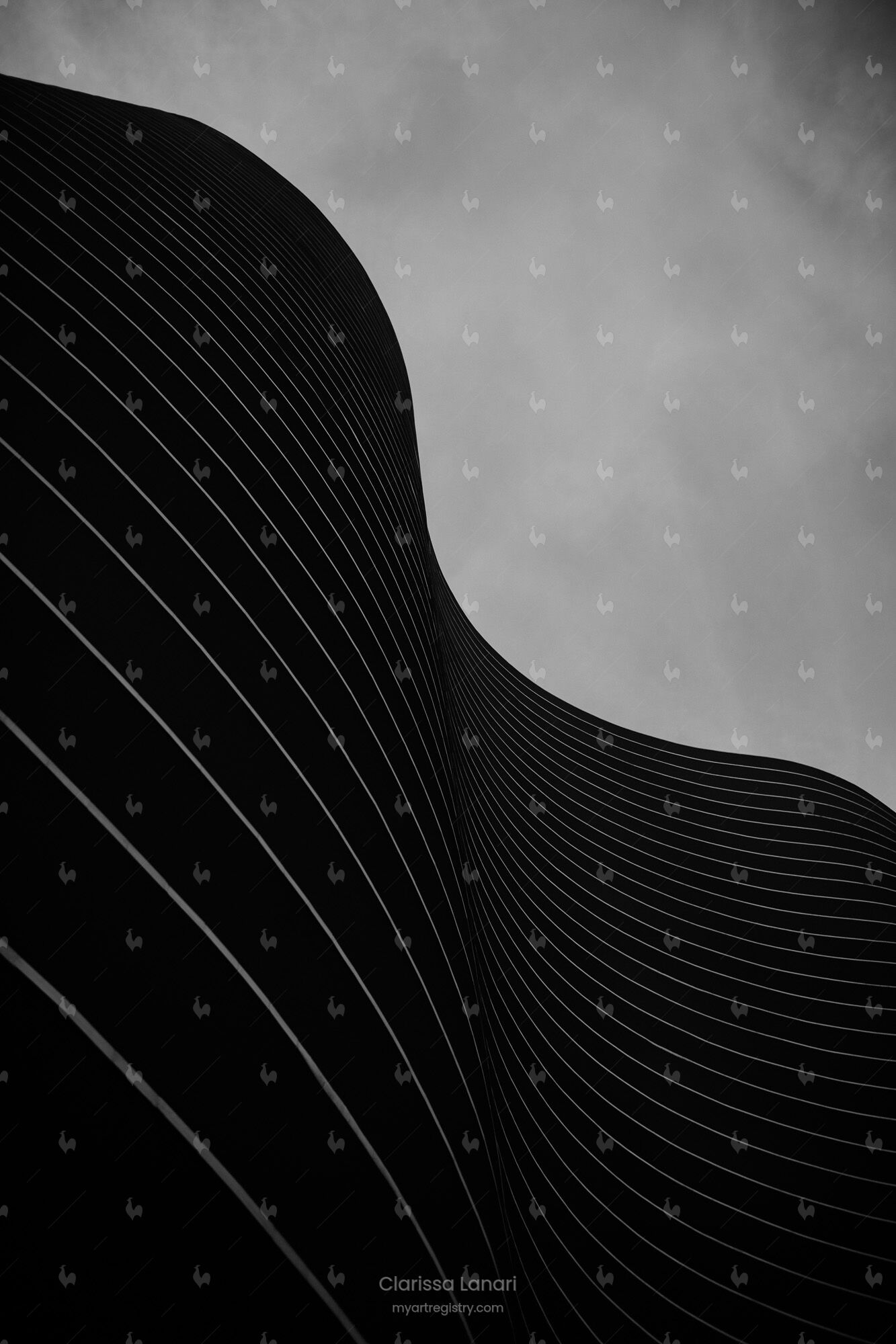 Ed Niemeyer BH Vertical